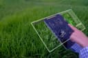 Soil Ground Testing